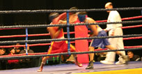 На ринге чемпионата Бишкека по боксу.